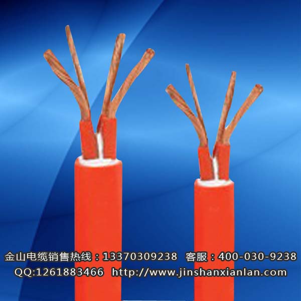 戶外升降機電纜FTCWYJ、FCTW...